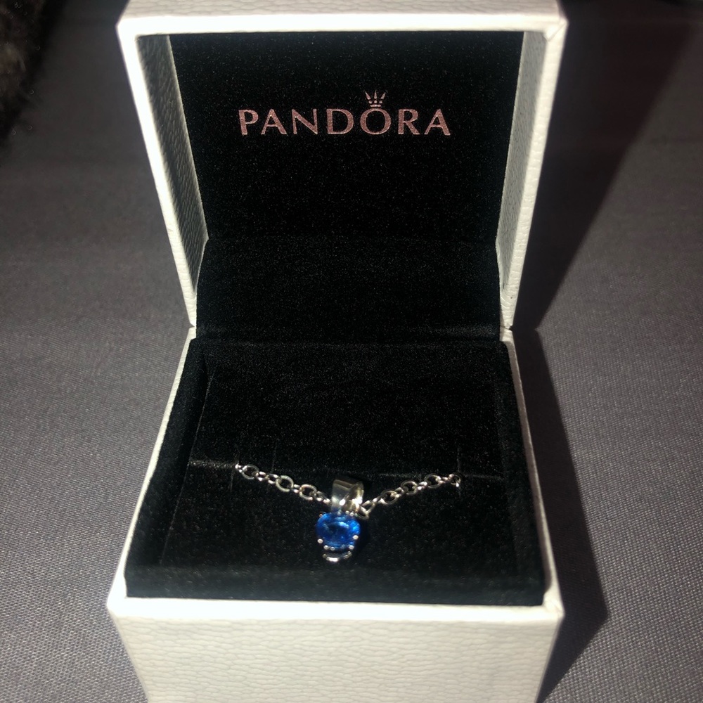 Pandora Necklace